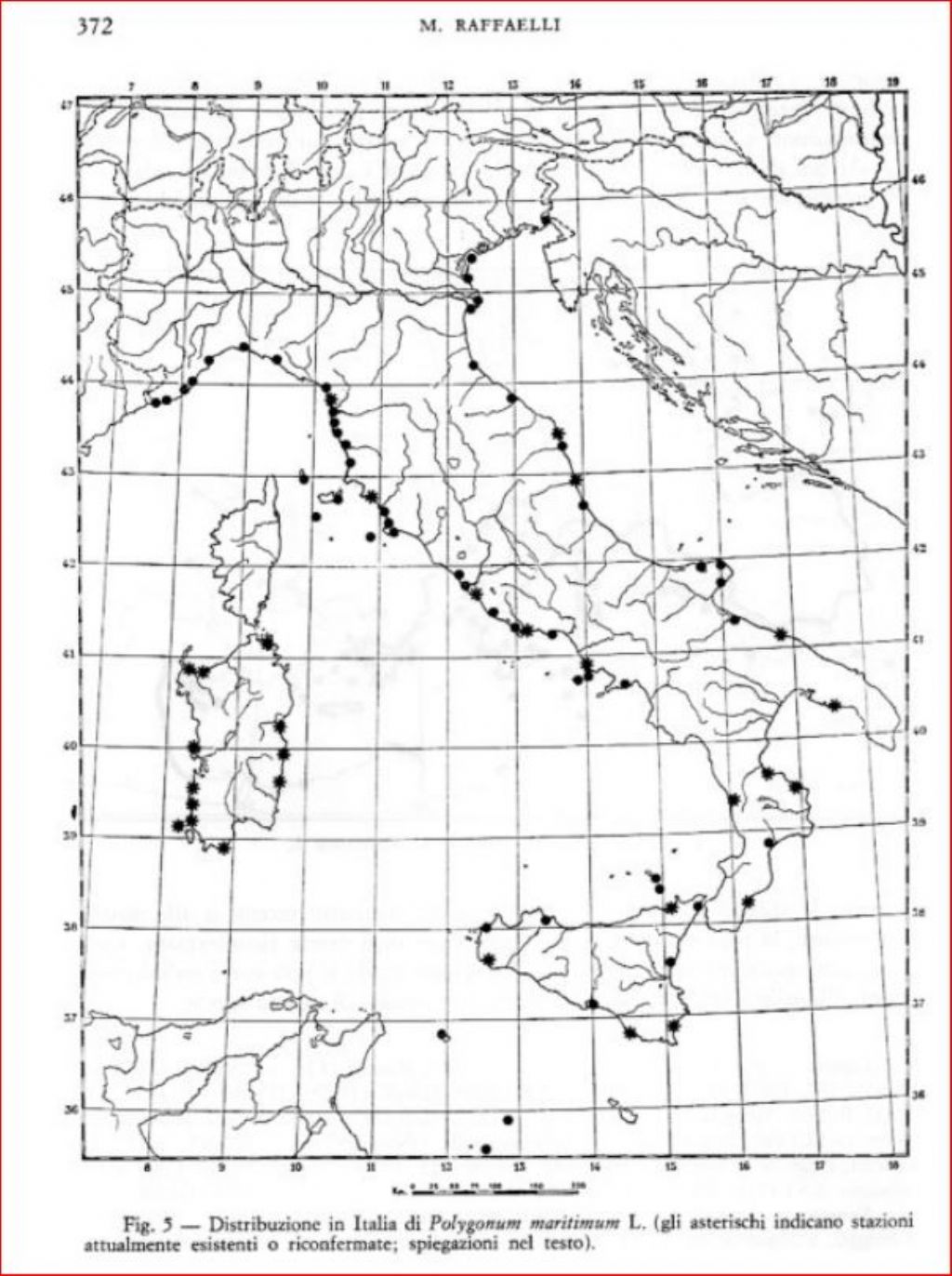 Vuoto di memoria... Polygonum maritimum